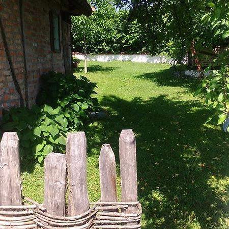 Lodge Morava Vrnjačka Banja Buitenkant foto