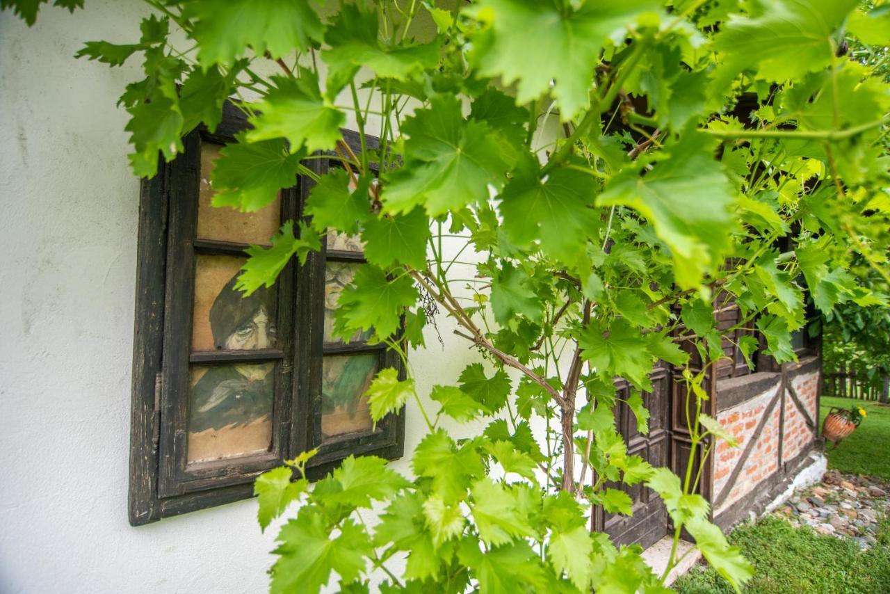 Lodge Morava Vrnjačka Banja Buitenkant foto