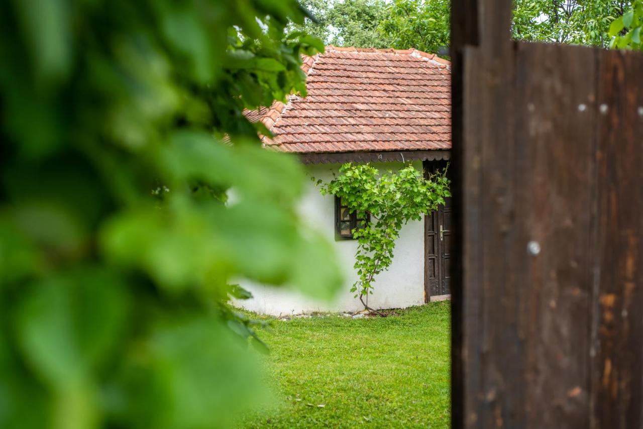 Lodge Morava Vrnjačka Banja Buitenkant foto